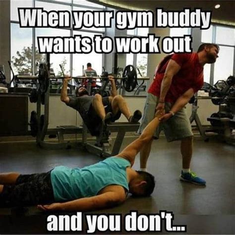 funny gym pics|funny gym pictures photos.